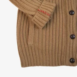 New Cashmere Brown Cardigan For Men