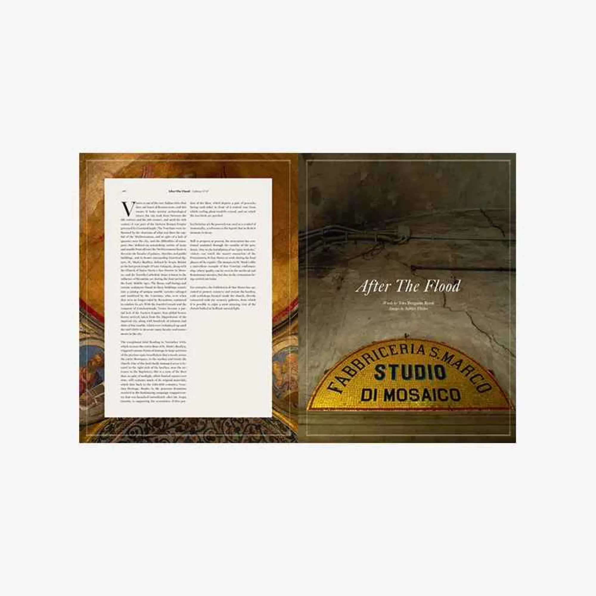 Online Issue 17 Books