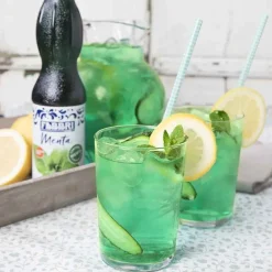 Sale Mint Syrup 560Ml Food