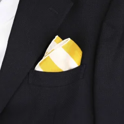 Il Pellicano-ISSIMO X Les Belles Heures Il Pellicano 14H22 Neckerchief