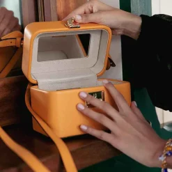 Hot X Tanner Krolle Annabel Vanity Bag Bags & Accessories