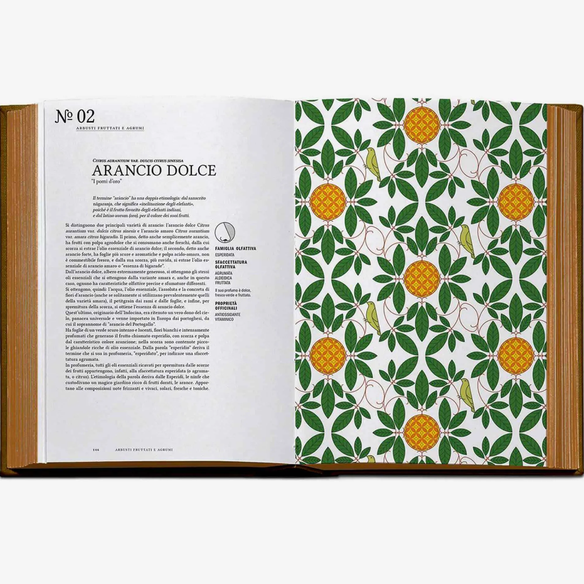 Clearance La Grammatica Dei Profumi Books