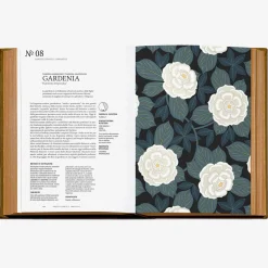 Clearance La Grammatica Dei Profumi Books